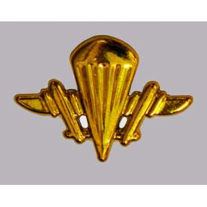 The emblem of airmobile troops gold