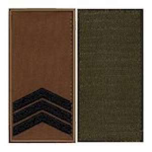 Погон НГ койот (чорн.) на лип. сержант