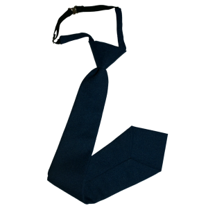 Cravat form MD BLUE