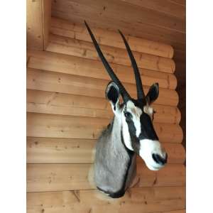 scarecrow Oryx